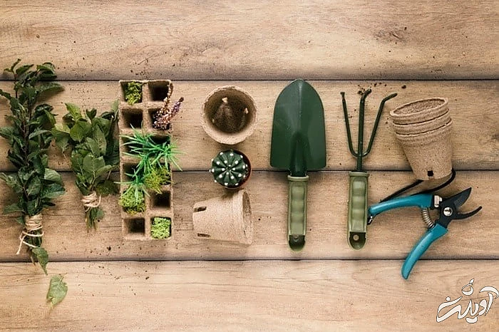 تقویت و تغذیه خاک خاک نامناسب